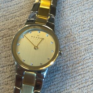 Skagen wristwatch